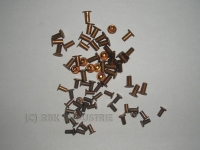 Niete 3 X 10 mm Bremsbelagnieten